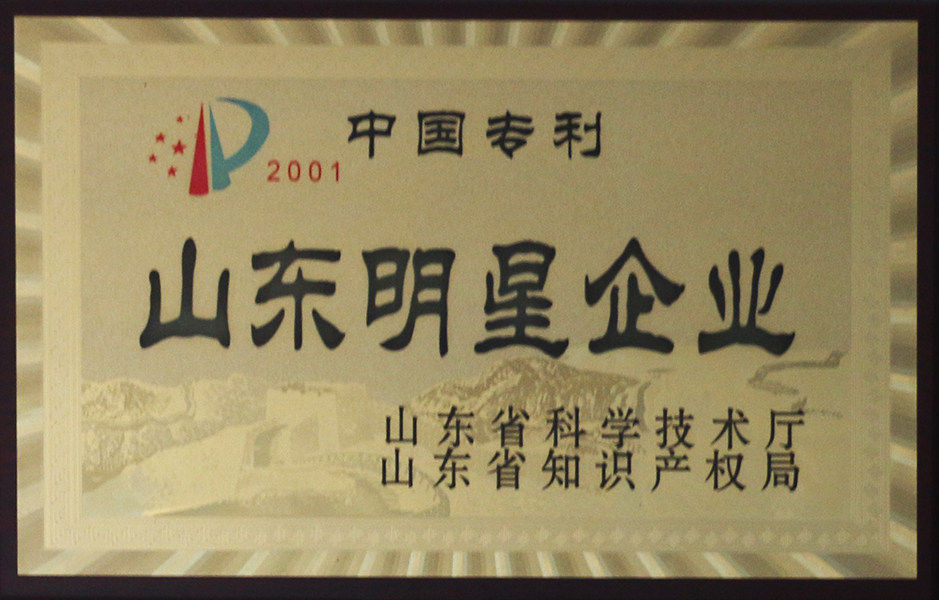 山東省明星企業(yè)
