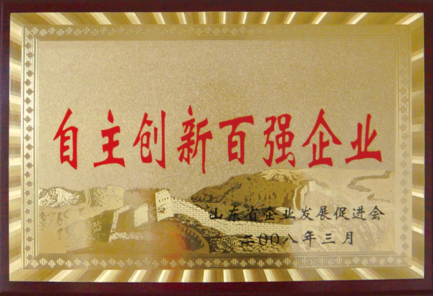 山東省自主百強企業(yè)