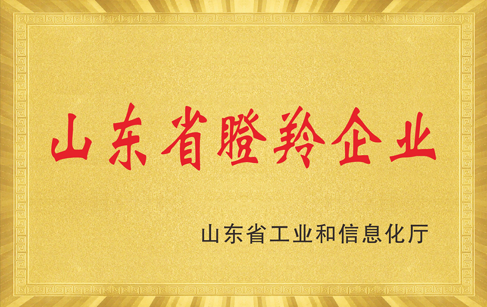 山東省瞪羚企業(yè)